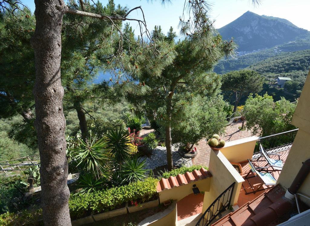 Ferienwohnung Neranya Massa Lubrense Zimmer foto
