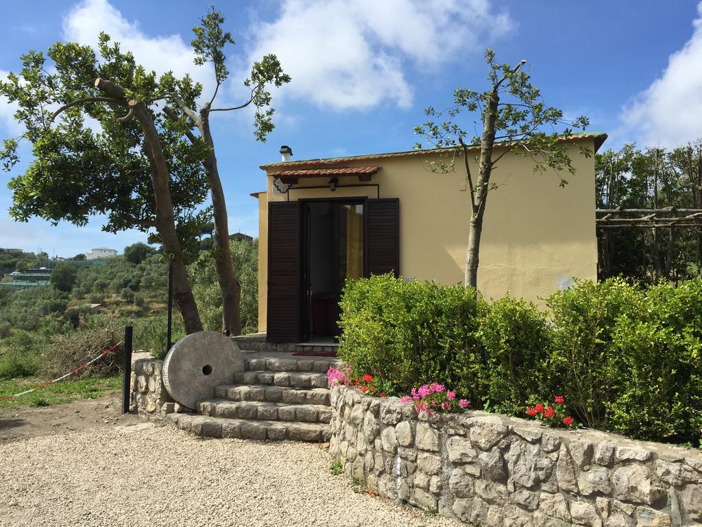 Ferienwohnung Neranya Massa Lubrense Exterior foto